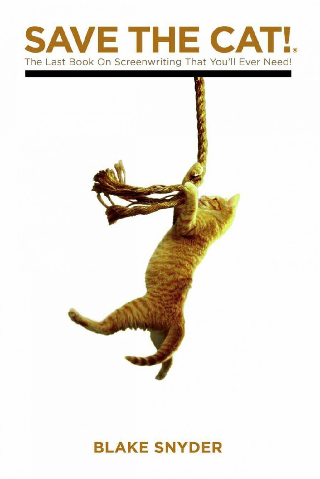 Save The Cat! The Last Book on Screenwriting You'll Ever Need