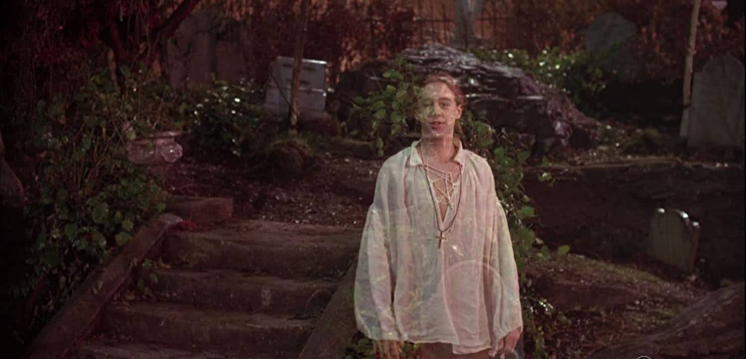 Thackery binx scenes in hocus focus alleynored