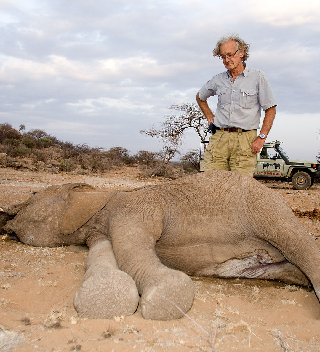 About STE Save the Elephants