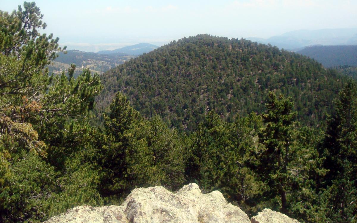 Spring 2023 Newsletter Mountain Area Land Trust