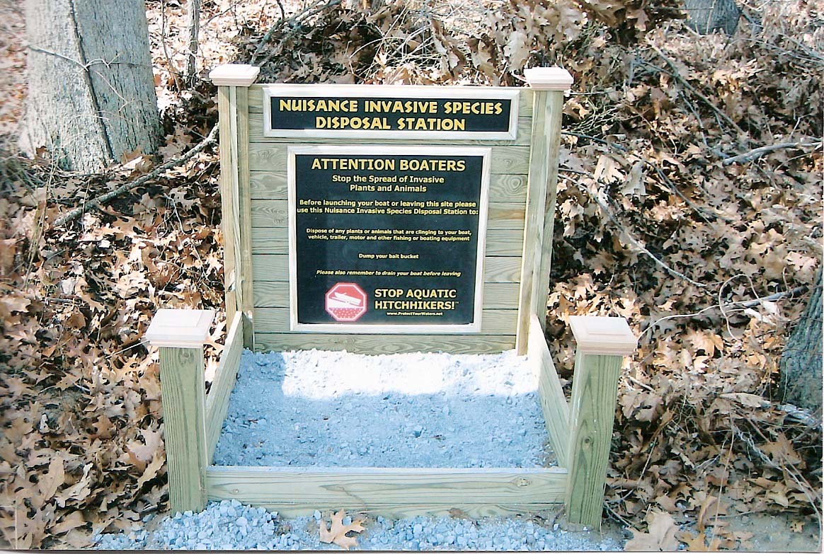 Lower Lake Yaphank at Angel Mann blog