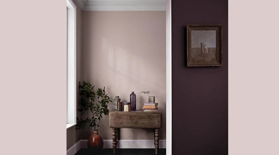 Top 13 best paint Brands for interior Jobs September 2024