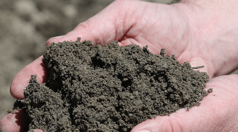 Select The Best Compost & Topsoil For Garden