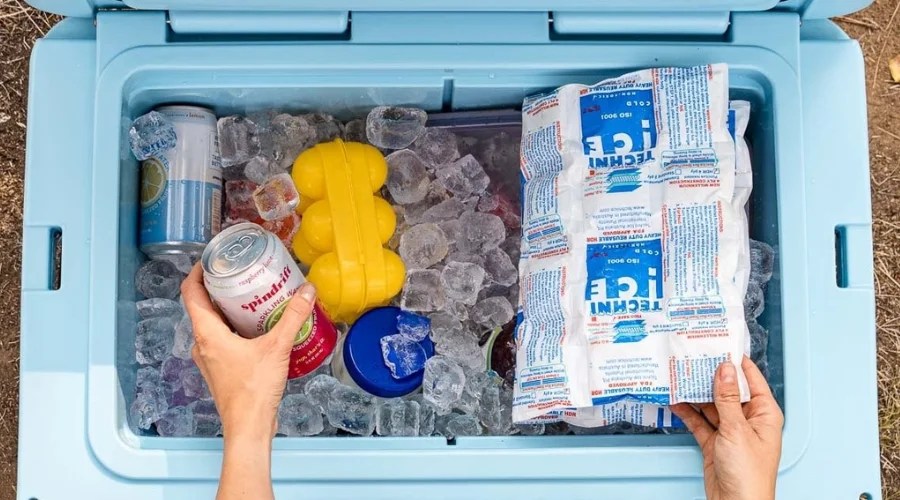 Walmart Water Coolers Stay Hydrated With Affordable Options