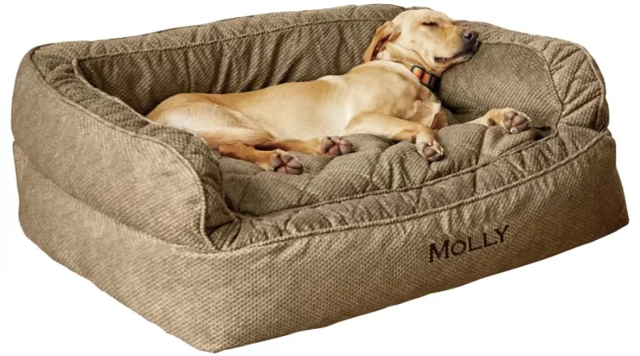 Dog Beds Give a Comfortable Nap to Your Dog