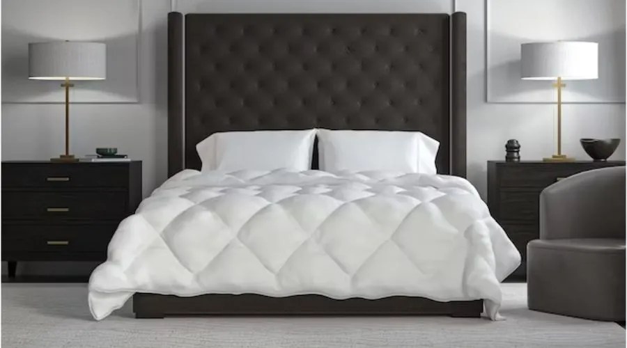 Luxurious Bed Comforters for Ultimate Sleep Comfort