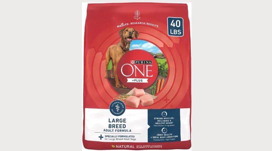 Choosing the Right Dog Food The Essential Nutrients
