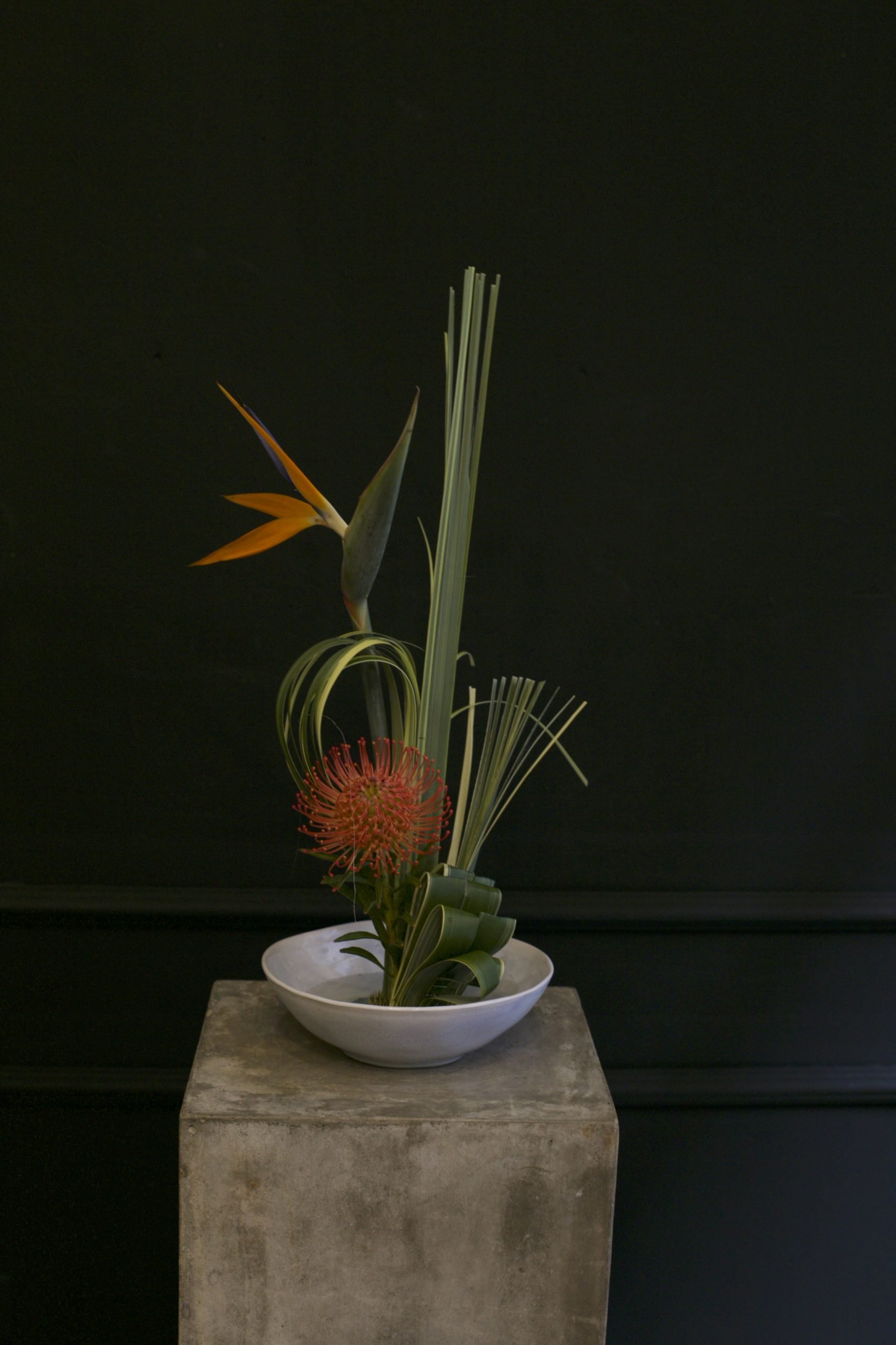¿Qué es el Ikebana? Savia Bruta