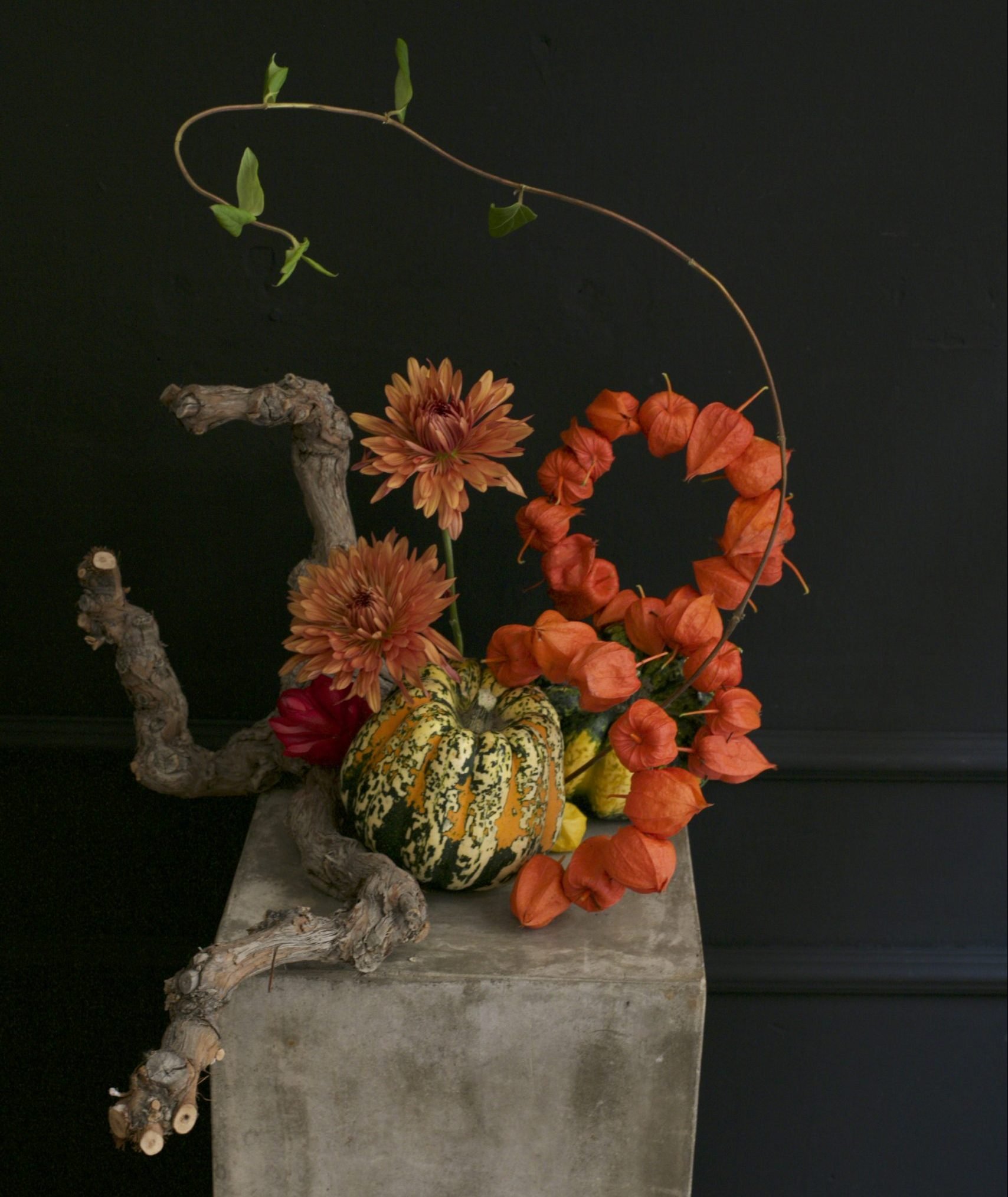 ¿Qué es el Ikebana? Savia Bruta