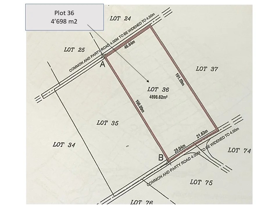 MARE D'ALBERT (GRAND PORT) AGRICULTURAL LAND FOR SALE Savikam Land