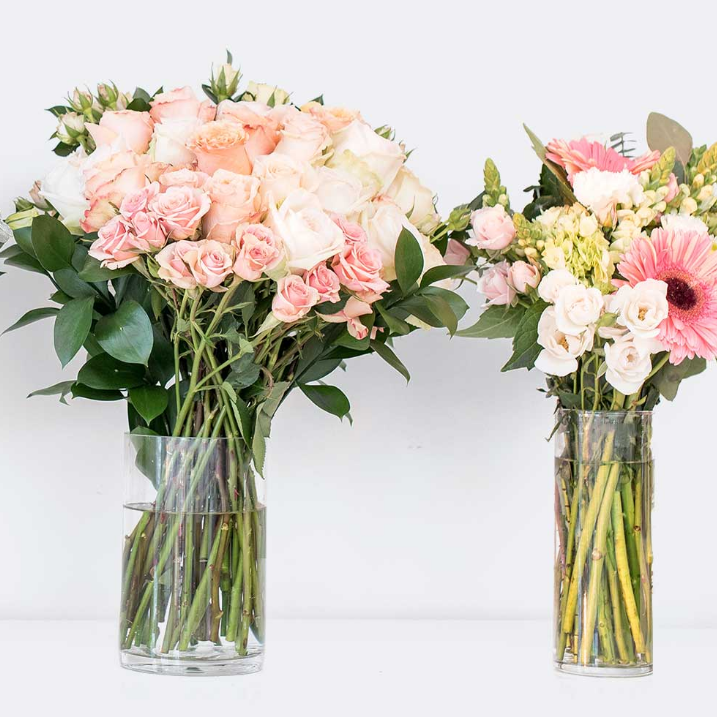 10 Off Your First Order Saving Amy