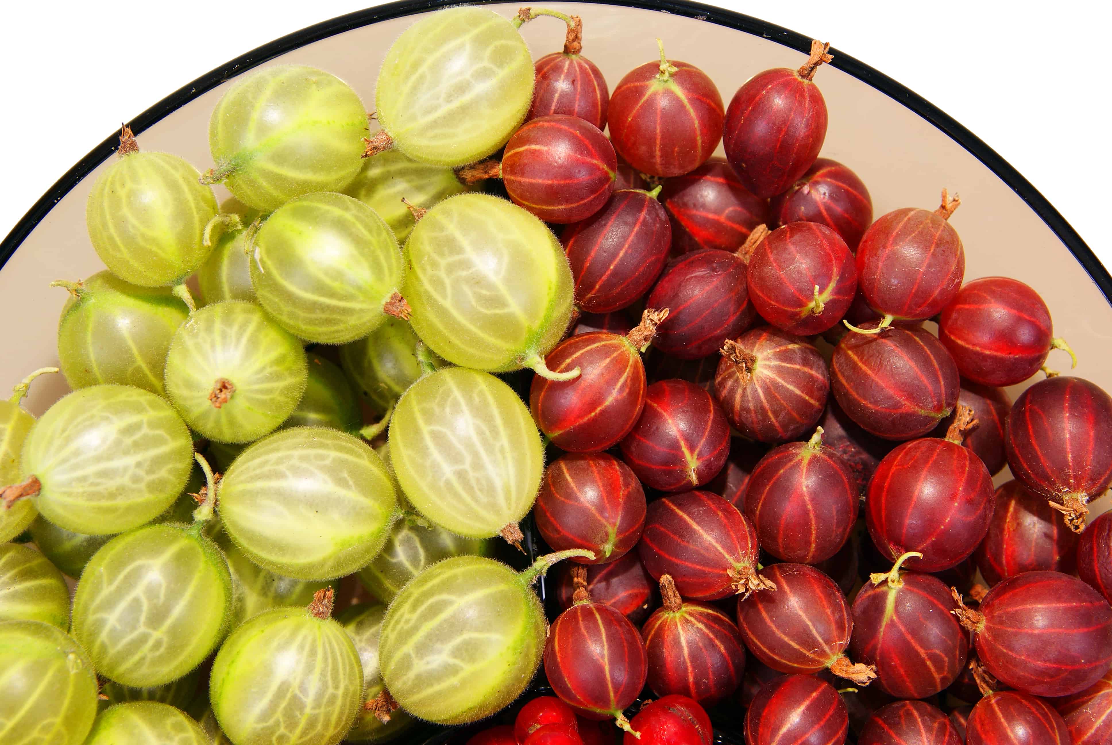 Duck, duck, gooseberries! Saving Dinner