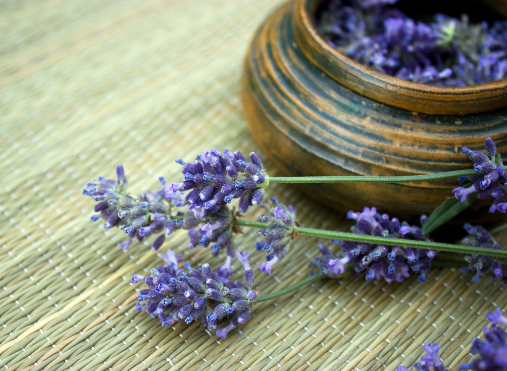 Tip, Trick & a Recipe 4 Uses for Lavender That You Won’t Believe