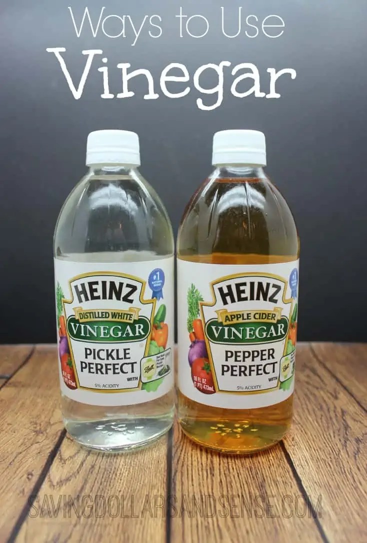 10 Ways to Use Vinegar Saving Dollars and Sense