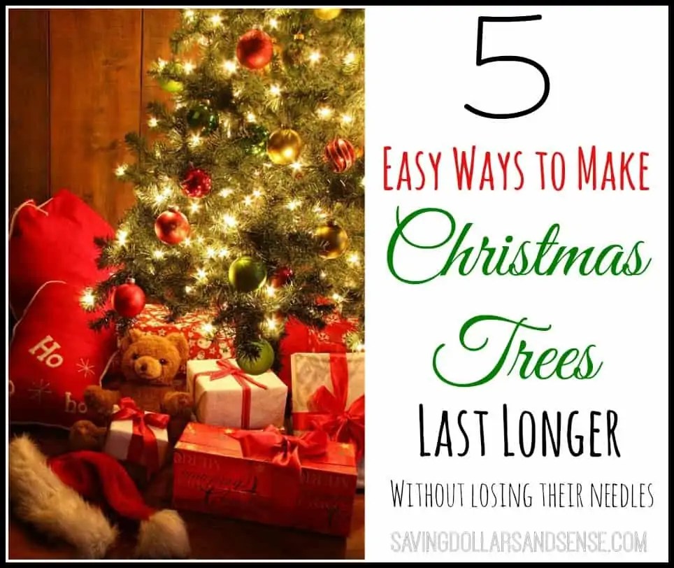 How to Make A Christmas Trees Last Longer Saving Dollars and Sense