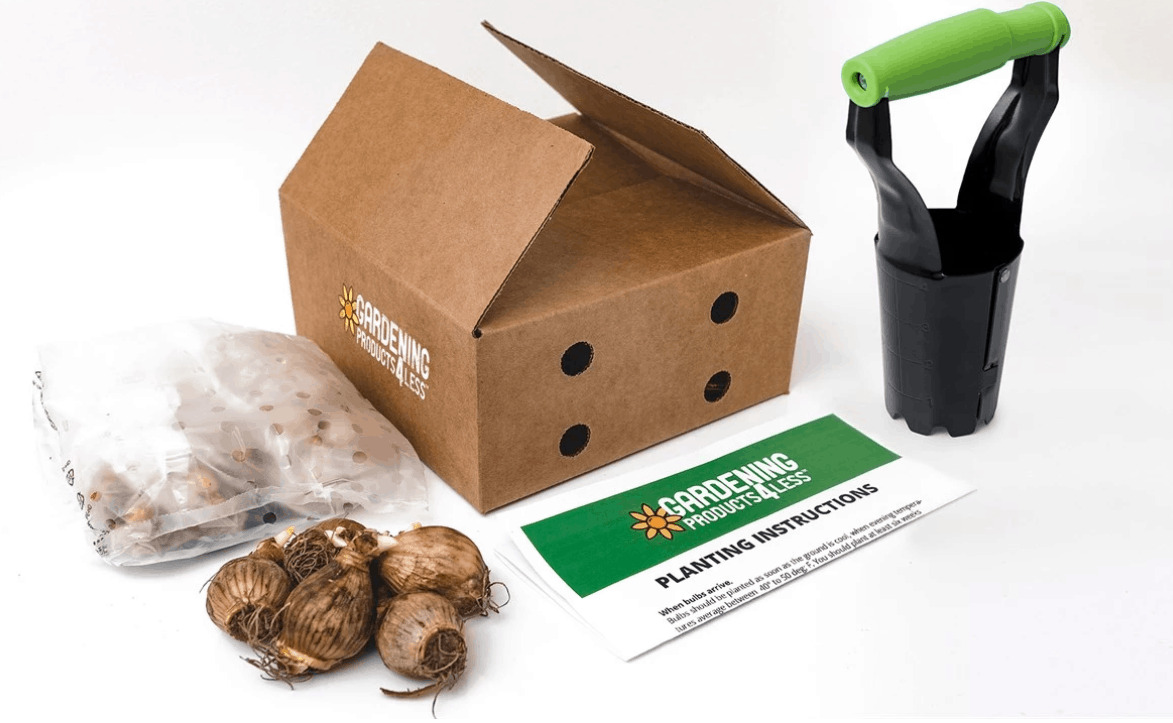 200 Flower Bulbs and Planting Tool On Clearance! Saving Dollars & Sense