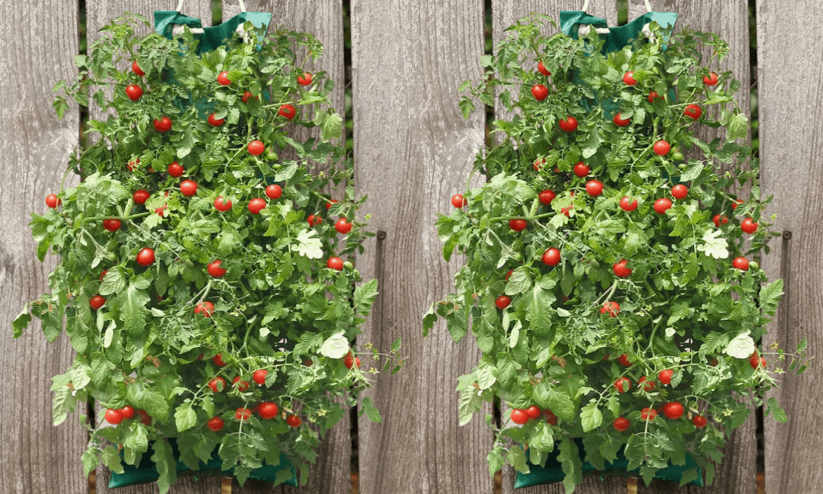 Organic Indoor/Outdoor Vegetable Hanging Garden 9.99 Saving Dollars