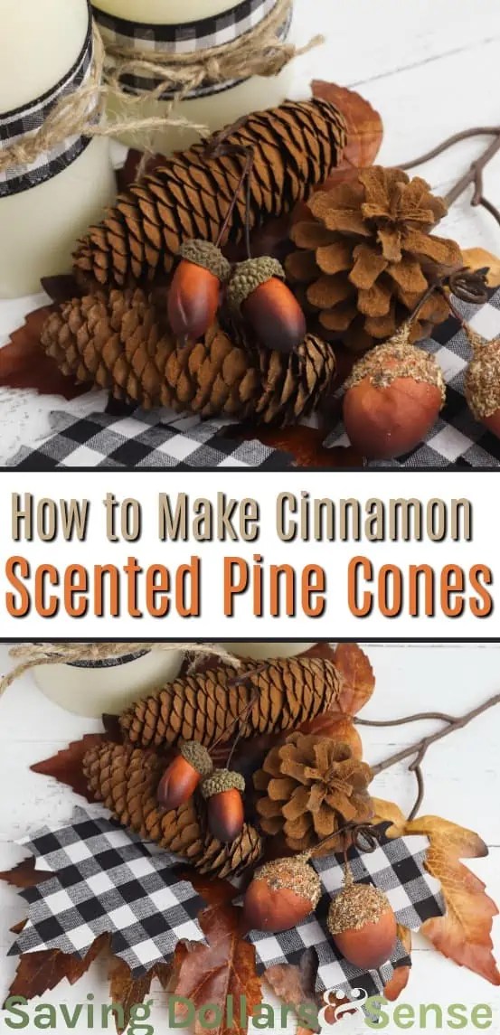 How to Make Cinnamon Scented Pine Cones Saving Dollars and Sense