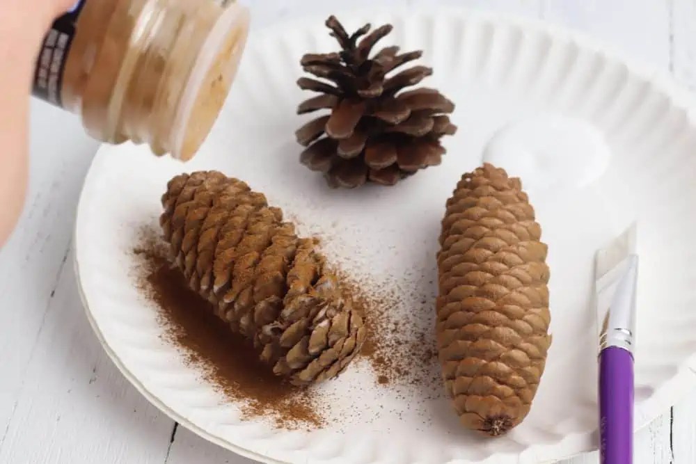 How to Make Cinnamon Scented Pine Cones Saving Dollars and Sense