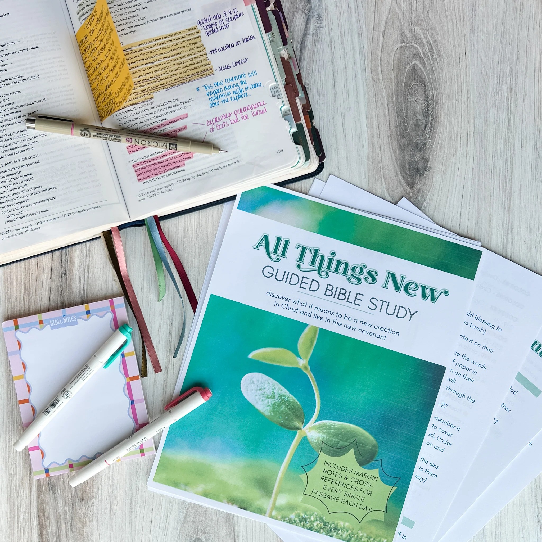 All Things New Guided Study Saving Grace Print Shop