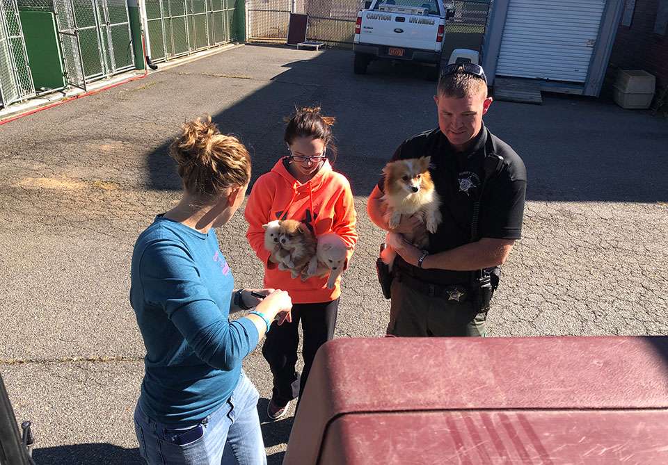 Surry County Animal Shelter petfinder