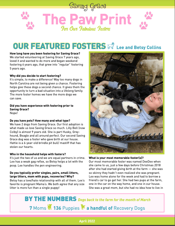 Do Dogs Have A Gag Reflex