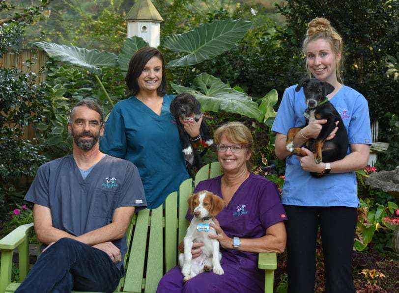 Our Spay/Neuter Clinic Saving Grace