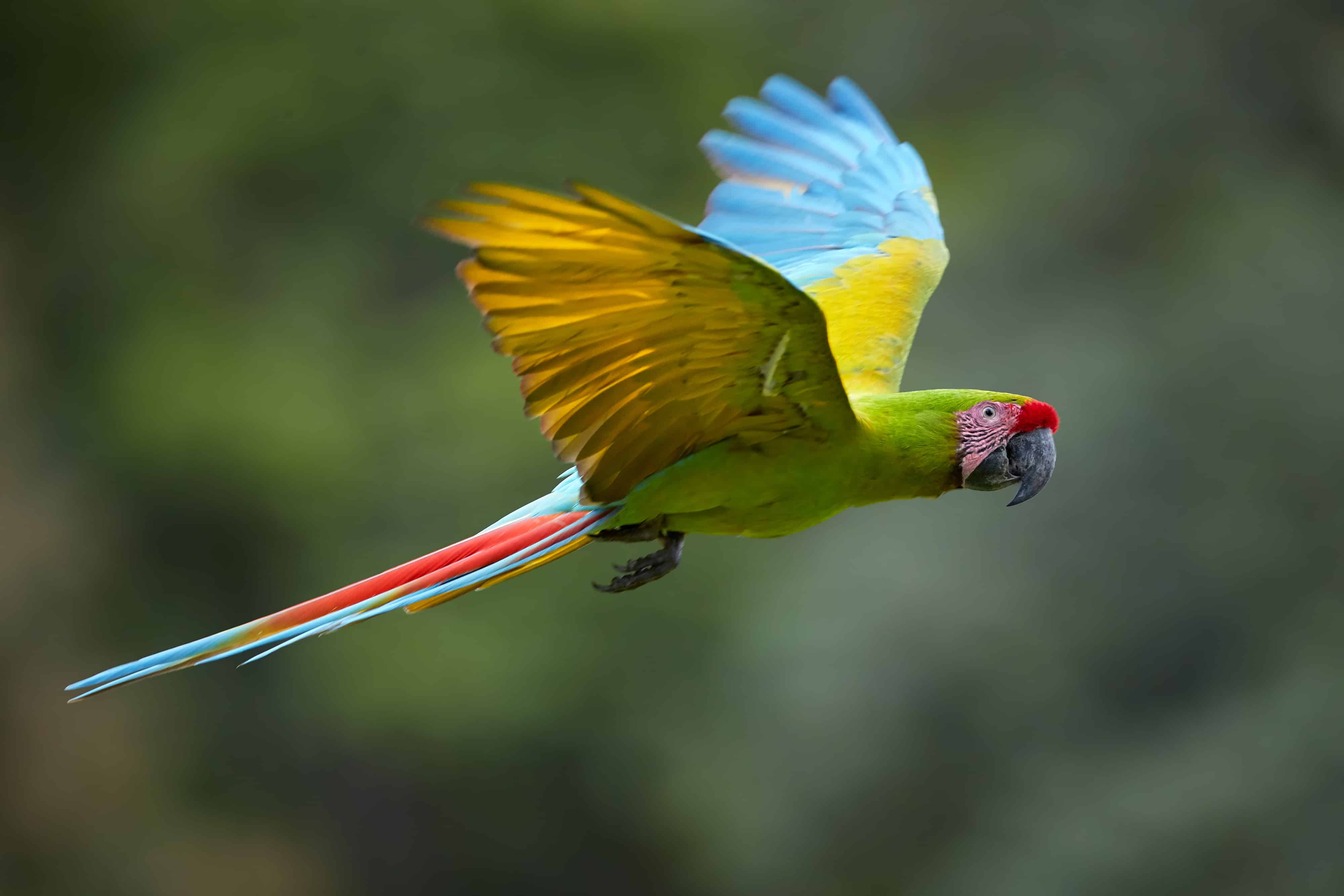 Saving Nature Why Our Unique Approach to Conservation Works