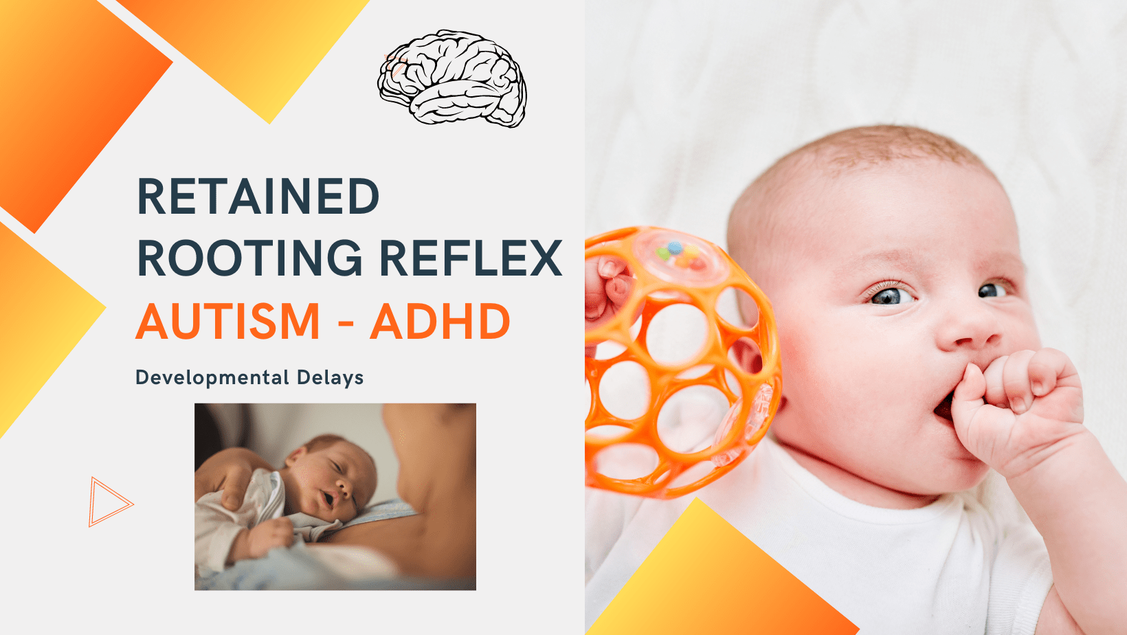 Retained rooting reflexes Saving Your Brain