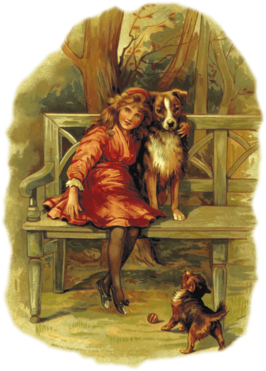 USING ALUMINUM HYDROXIDE TO TREAT DOG KIDNEY DYSFUNCTION SAVINGYOURDOG