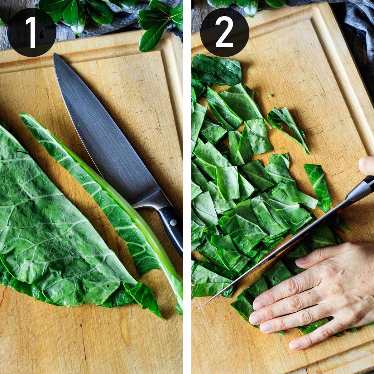 Southern Style Collard Greens Savor the Flavour