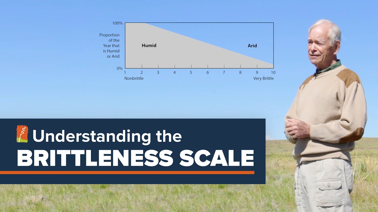 Understanding the Brittleness Scale ⋆ Savory Institute