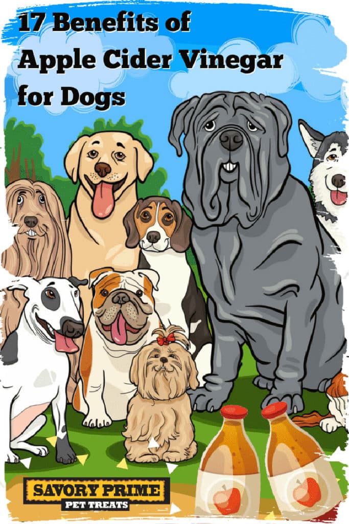 17 Benefits of Apple Cider Vinegar for Dogs Savory Prime Pet Treats
