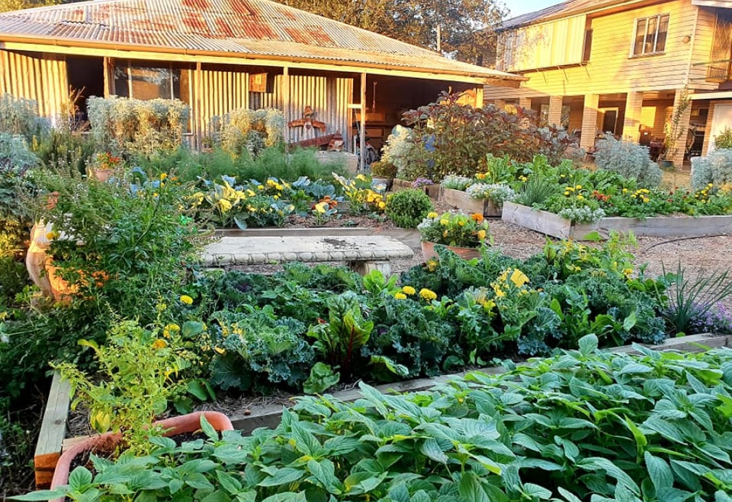 Custom Garden Design Solutions Savour Soil Permaculture
