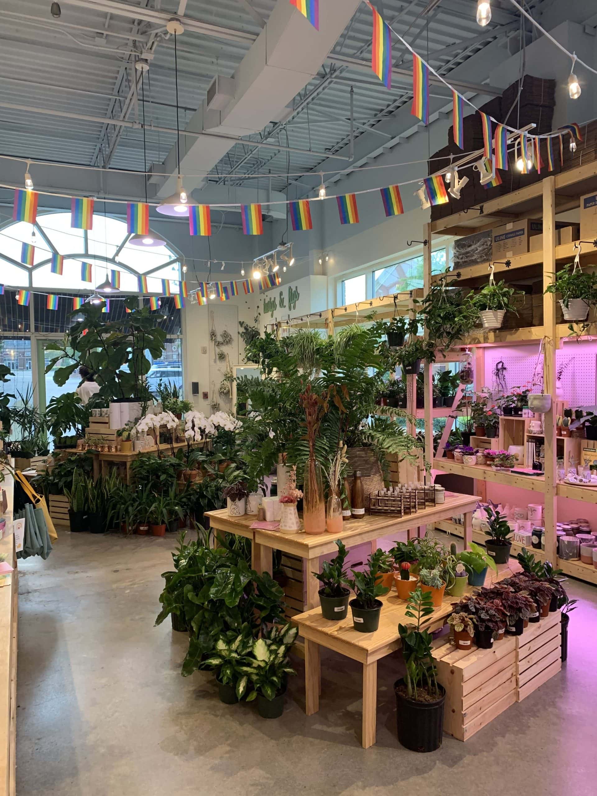 Featured on RedFin Charlotte's Hidden Gems Savvy Leigh Photography