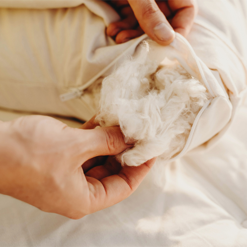 Organic Kapok Body Pillow Savvy Rest