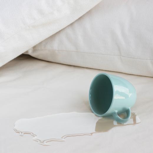 Organic Body Pillow Waterproof Protector Savvy Rest