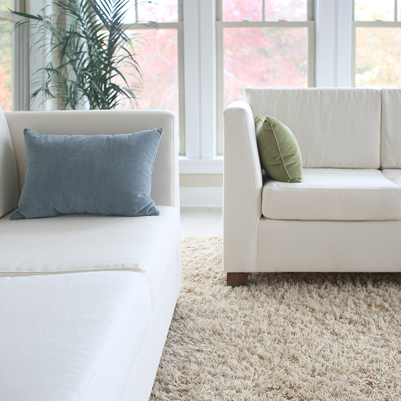 Non Toxic Sofa Cushions Baci Living Room