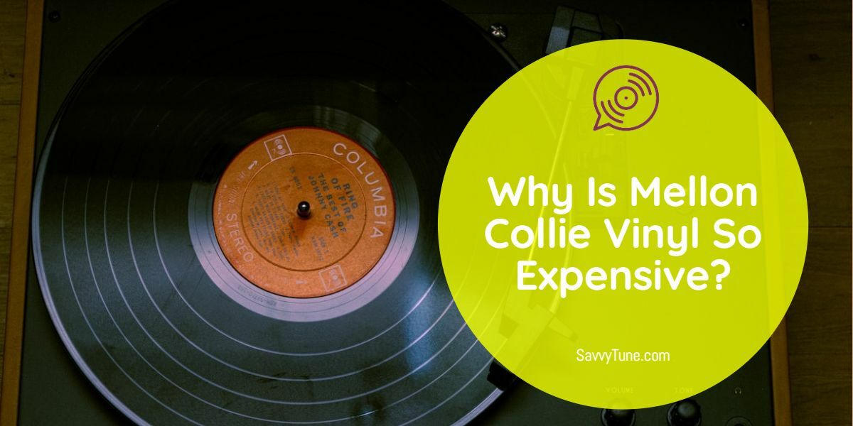 Why Is Mellon Collie Vinyl So Expensive? Savvy Tune