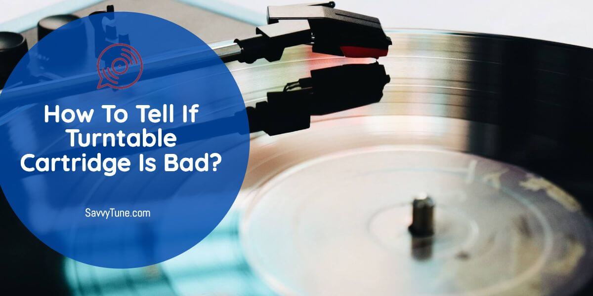 How To Tell If Turntable Cartridge Is Bad Savvy Tune