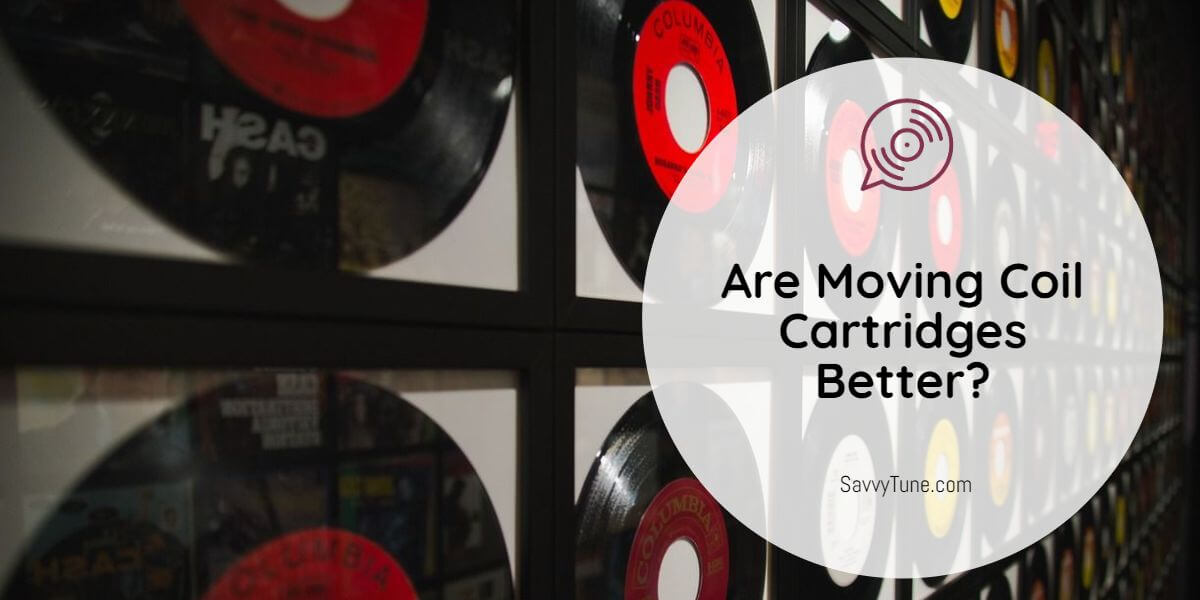 Are Moving Coil Cartridges Better? (Full Guide) Savvy Tune