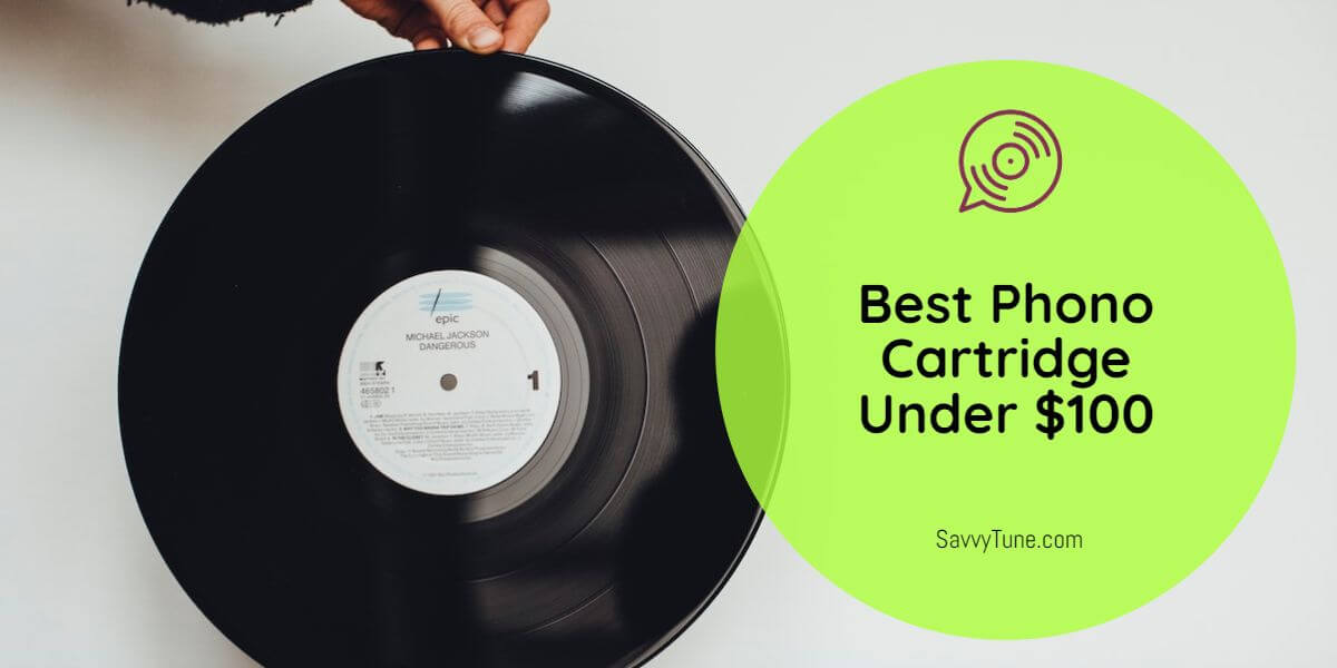 Best Phono Cartridge Under 100 Top 5 Picks And Buying Guide Savvy Tune