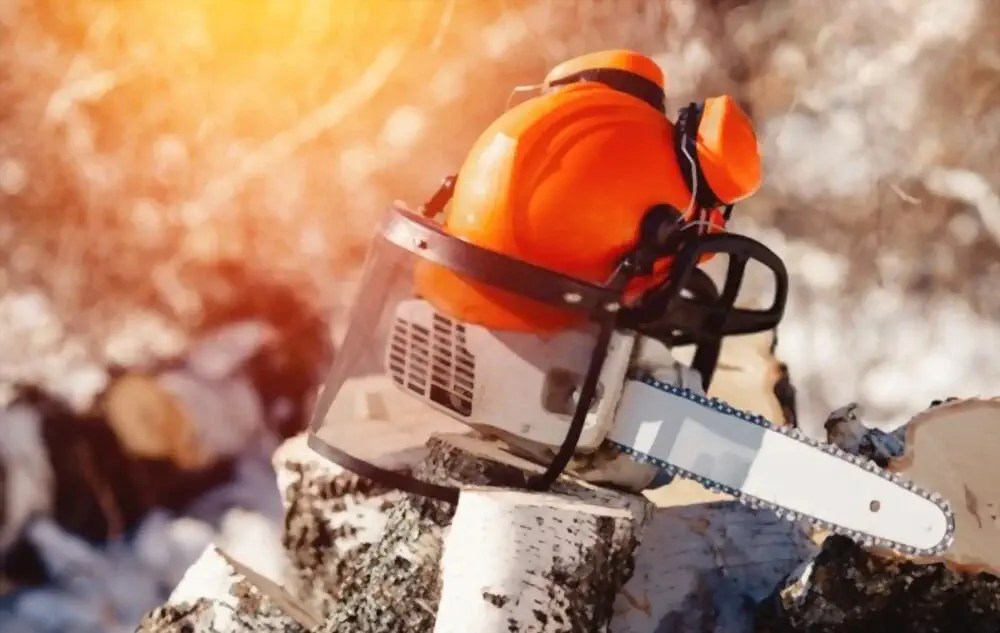 10 Best Chainsaw Helmets in 2023 [Safety First]