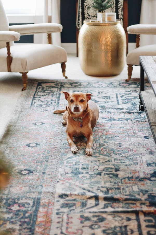 RUGS San Antonio Woman