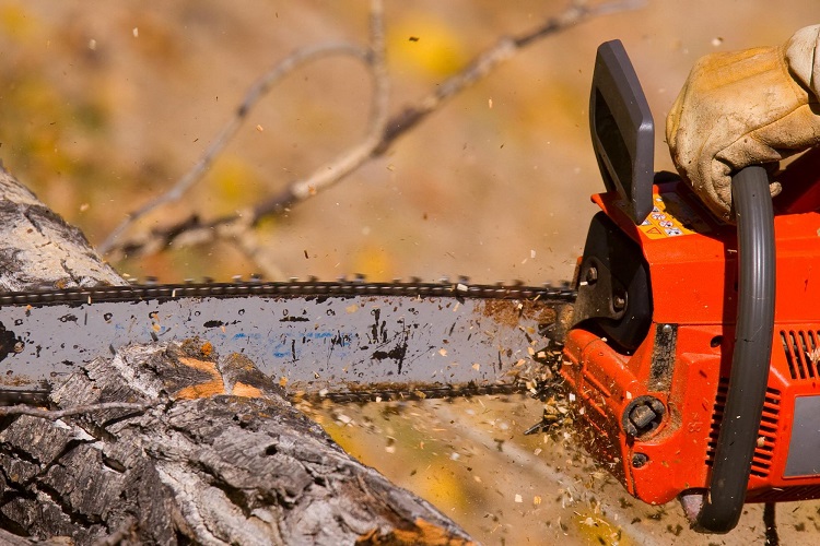 Best American Made Chainsaws Every Brand You'll Ever Need