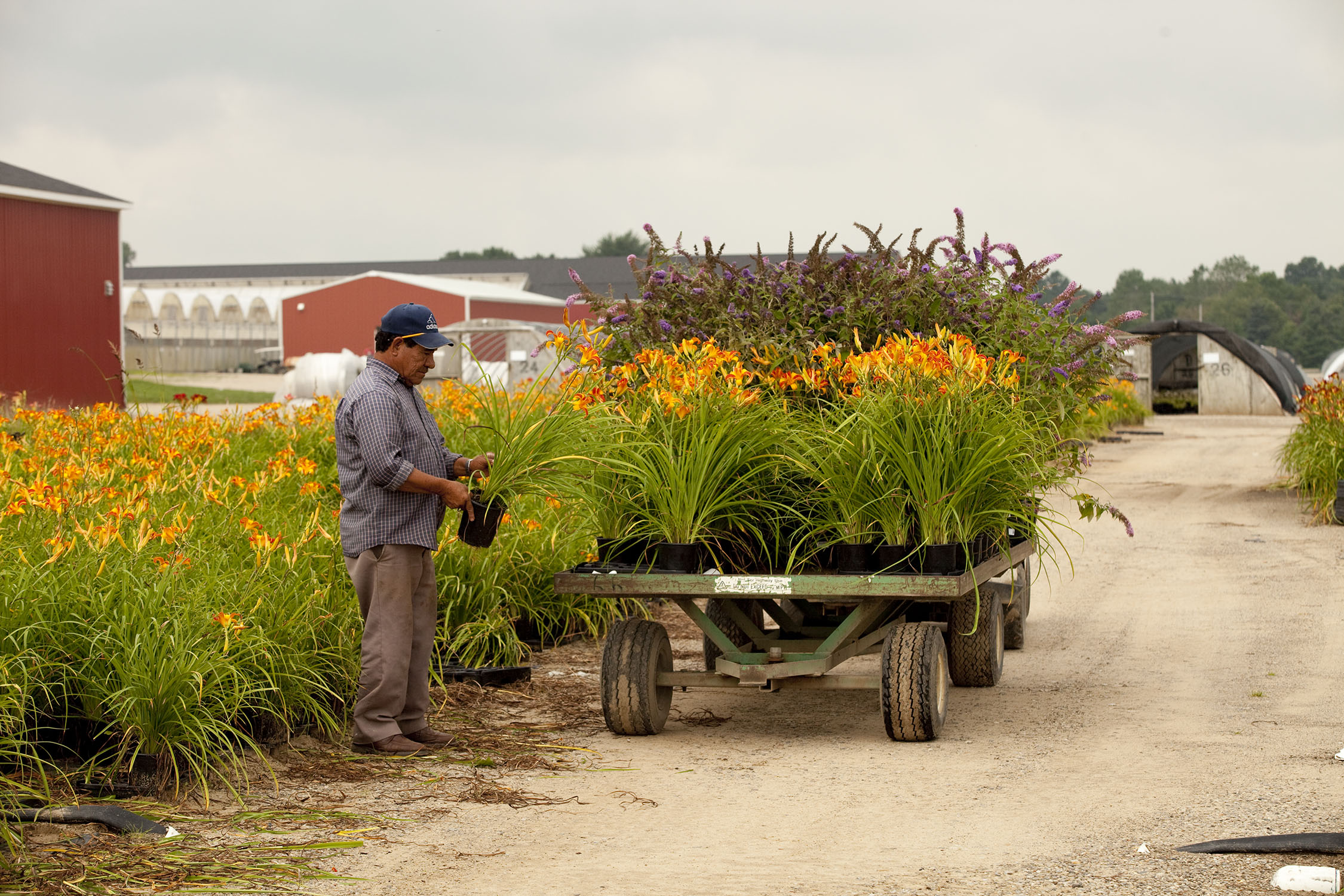 Sawyer Nursery History