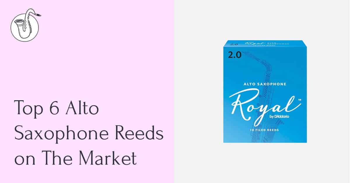 The 6 Best Alto Sax Reeds Complete Reviews With Pictures SaxHQ