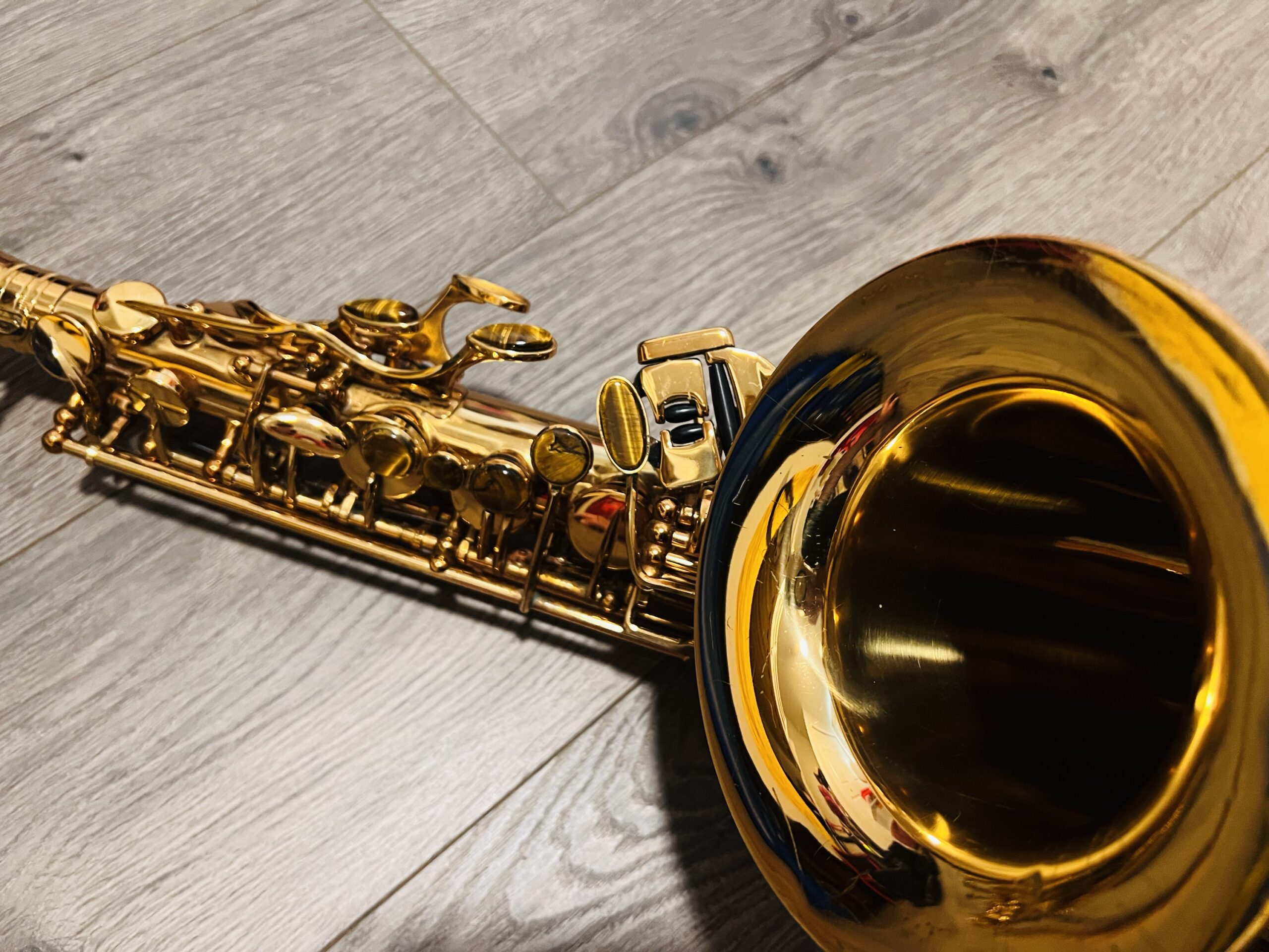 Cannonball Big Bell Stone Series A5L Premium Gold Lacquer Alto Saxophone 231118