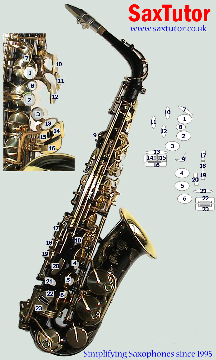 Alto Saxophone Altissimo Finger Chart