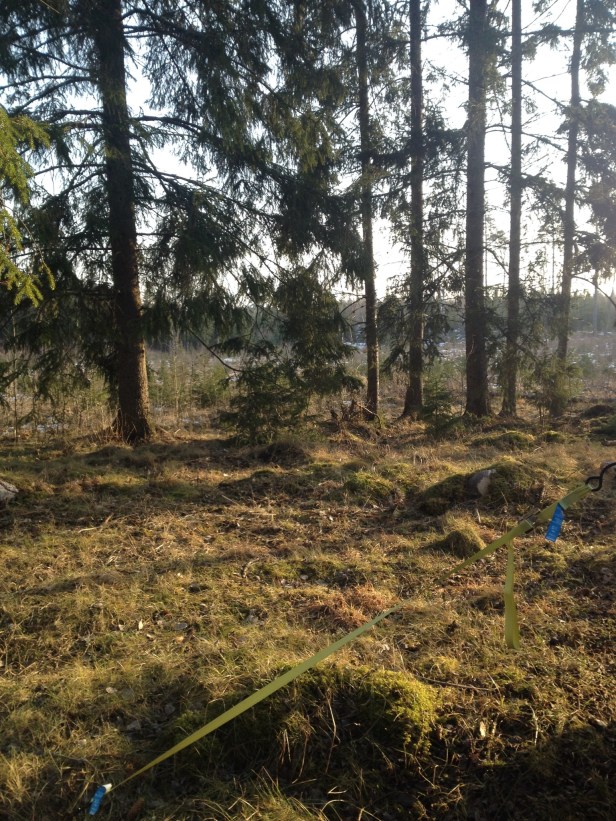 Boden del 3 Sayerbýr